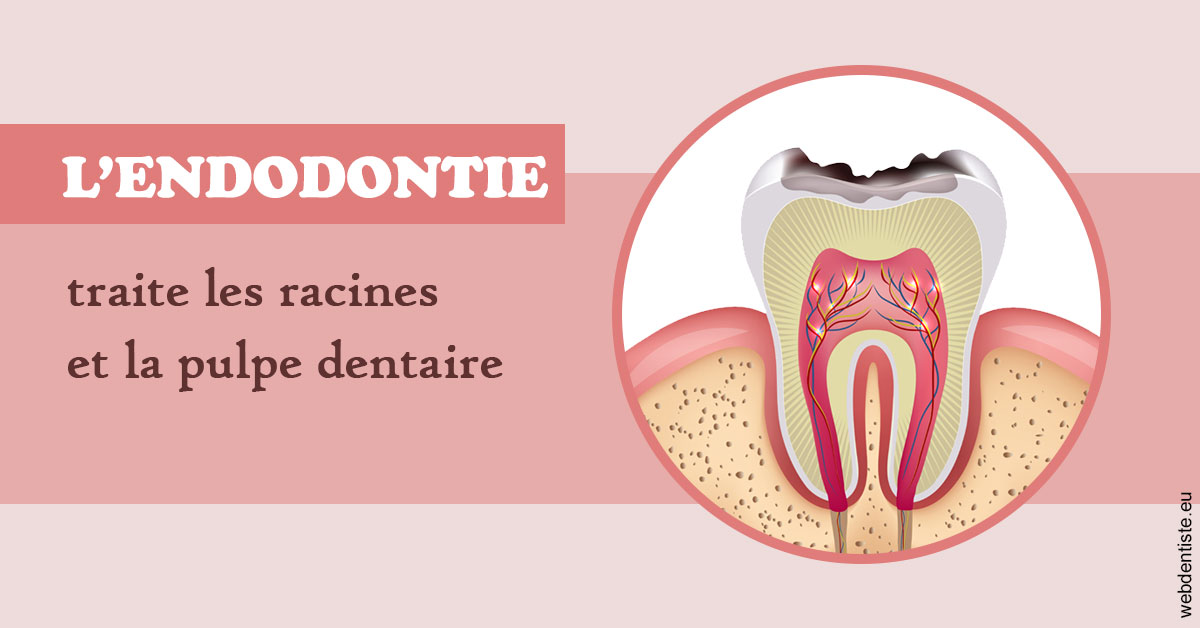https://dr-prevot-pascal.chirurgiens-dentistes.fr/L'endodontie 2