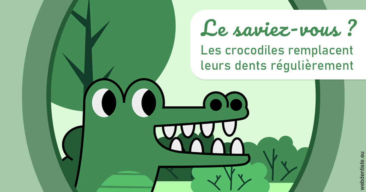 https://dr-prevot-pascal.chirurgiens-dentistes.fr/Crocodiles 2
