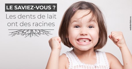 https://dr-prevot-pascal.chirurgiens-dentistes.fr/Les dents de lait